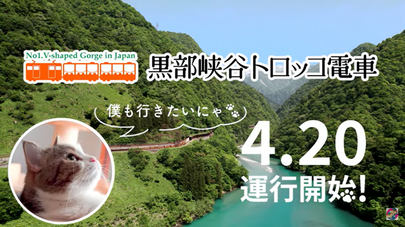 トロッコ電車間もなく運行開始！